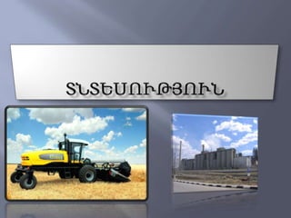 Նտեսություն