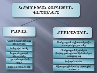 ՏՆՏԵՍՈՒԹՅԱՆ ԶԱՐԳԱՑՄԱՆ
ԳՈՐԾՈՆՆԵՐԸ
ԲՆԱԿԱՆ ՀԱՍԱՐԱԿԱԿԱՆ
Վառելիքաէներգետիկ
ռեսուրսներ
Հանքային հումք
Հողային, ջրային
ռեսուրսներ
Աշխարհագրական
դիրք
Հագստի ռեսուրսներ
Բնակչության աշխատանքային
ռեսուրսների քանակը
Բնակչության կրթական
մակարդակ, գիտատեխնիկական
առաջընթաց
Ինֆորմատիկա
Միջազգային կապեր արտաքին
առևտուր
 