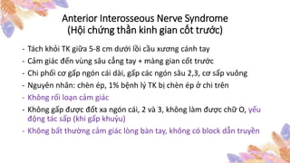 Anterior Interosseous Nerve Syndrome
(Hội chứng thần kinh gian cốt trước)
- Tách khỏi TK giữa 5-8 cm dưới lồi cầu xương cánh tay
- Cảm giác đến vùng sâu cẳng tay + màng gian cốt trước
- Chi phối cơ gấp ngón cái dài, gấp các ngón sâu 2,3, cơ sấp vuông
- Nguyên nhân: chèn ép, 1% bệnh lý TK bị chèn ép ở chi trên
- Không rối loạn cảm giác
- Không gấp được đốt xa ngón cái, 2 và 3, không làm được chữ O, yếu
động tác sấp (khi gấp khuỷu)
- Không bất thường cảm giác lòng bàn tay, không có block dẫn truyền
 