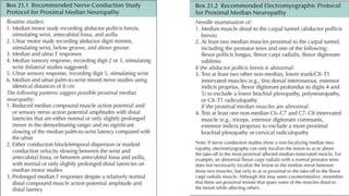 Prior to initiating trials on fever control