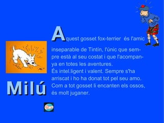 Milú A quest gosset fox-terrier  és l'amic inseparable de Tintín, l'únic que sem- pre està al seu costat i que l'acompan- ya en totes les aventures. És intel.ligent i valent. Sempre s'ha arriscat i ho ha donat tot pel seu amo. Com a tot gosset li encanten els ossos, és molt juganer. 