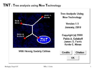 TNT  :  T ree analysis using   N ew   T echnology 
