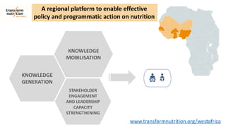 Overview of Research on Adolescent Nutrition in West Africa