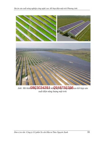 Tư vấn lập dự án Sản xuất Nông nghiệp Công nghệ cao kết hợp Điện mặt trời - 0903034381