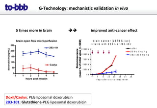 5 times more in brain  improved anti-cancer effect
b r a in c a n c e r ( U 8 7 M G - l u c )
t r e a t e d w i t h D O X I L o r 2 B 3 - 1 0 1
0 4 8 1 2 1 6 2 0 2 4 2 8
0 %
2 5 0 0 %
5 0 0 0 %
7 5 0 0 %
1 0 0 0 0 %
1 2 5 0 0 % s a lin e
D O X I L 5 m g / k g
2 B 3 - 1 0 1 5 m g / k g
d a y s a f t e r s t a r t o f t r e a t m e n t
G-Technology: mechanistic validation in vivo
Doxil/Caelyx: PEG liposomal doxorubicin
2B3-101: Glutathione-PEG liposomal doxorubicin
 