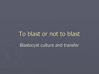 To blast or not to blast Blastocyst culture and transfer 