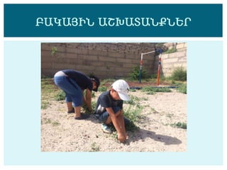 ԲԱԿԱՅԻՆ ԱՇԽԱՏԱՆՔՆԵՐ
 