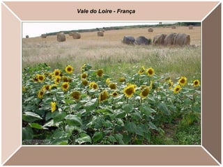 Vale do Loire - França 