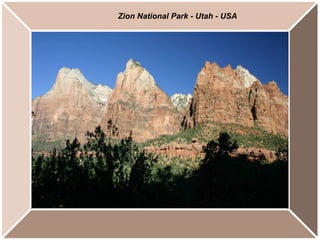 Zion National Park - Utah - USA 