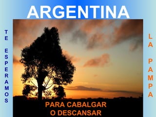 ARGENTINA
T
E                    L
                     A
E
S
P                    P
E                    A
R
A
                     M
M                    P
O                    A
S
     PARA CABALGAR
      O DESCANSAR
 