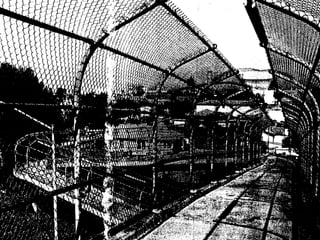 08 privacy, territoriality, defensible space