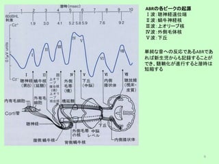 単純な音への反応であるABRであ
れば新生児からも記録することが
でき、髄鞘化が進行すると潜時は
短縮する
ABRの各ピークの起源
Ⅰ波：聴神経遠位端
Ⅱ波：蝸牛神経核
Ⅲ波：上オリーブ核
Ⅳ波：外側毛体核
Ⅴ波：下丘
6
 