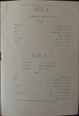 Toad of Toad Hall Programme