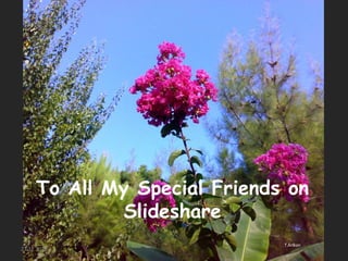 ToAll My Special Friendson Slideshare T.Arikan 27.12.2010 