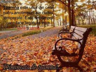 Toamna este unul din cele
patru anotimpuri ale climei
temperate. Este anotimpul
  care face legătura între
        vară și iarnă
                   .
 