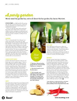 30 
DIY • Cocktail garden 
A party garden 
Never mind the garden bar, we’re all about the bar garden. By Janice Marriott. 
l Raid your flower borders. 
Borage flowers look beautiful 
floating on a margarita. 
l Use fresh basil for your 
bloody marys. 
l Gin, lavender and a 
squeeze of citrus go together 
(try adding a few stalks of 
lavender to a bottle of gin 
and leaving it to infuse), as 
do rosemary, rhubarb and 
gin. Start mixing! 
If you start a cocktail garden this spring, 
after the fear of frosts has gone, you’ll save 
money and drink your own home-grown 
cocktails all summer. 
Start out with the basic herbs and fruits 
that make great drink mates: mint, basil, 
chillies, lemons and limes, strawberries and 
maybe raspberries. All of these can thrive in 
pots in a sunny courtyard, or will grow in a 
raised bed. 
Ginger 
This is a tropical plant but a big pot in a 
warm spot inside can provide you with 
fresh ginger. If your guests stroke the leaves 
they release a lovely ginger scent into the 
room. Garden centre varieties are usually 
decorative rather than culinary so beg a root 
off someone who grows it. This is the right 
time to do this. You can try supermarket 
ginger. Some have growth retardant on them 
but a soak overnight will fix that. Fertilise 
regularly. The best time to harvest ginger is 
after the leaves have died down, about nine 
months after you’ve planted it. 
Lemon and limes 
Look for the dwarf varieties of lemon and 
lime trees in your garden centre. I have a 
yellow Mexican lime for stuffing into my 
Corona bottle neck, and a green Tahitian 
lime for everything else. They look great 
in pots. A shiny tree full of fruit beams a 
welcome at the door before you’ve even 
served that Singapore sling. Limes don’t like 
frost so a bit of a cuddle and some shelter 
on a frosty night will be necessary. Meyer 
lemons produce fruit from winter through 
to summer. The plants are resilient but they 
need rich soil to keep them cropping. Citrus 
fertiliser solves the problem. 
Mint 
Sorry but mint is almost too easy. Spring is the 
best time to plant. You need to trap its roots 
in a pot as feral mint left to its own devices 
will take over your garden – a bit like some 
people at cocktail parties. All mint needs is 
sun and a big pot, big because you will love 
the taste and use a lot. The best mint for mint 
juleps and mojitos is spearmint. 
Hot 
tips 
Chillies 
One chilli plant will give you plenty of 
colourful chillies to pick in summer. Plant 
seeds inside in August. Transfer the plants 
outdoors when the soil’s warmer. Your 
jalapenos could end up infused in tequila or, 
if you want to be dangerous, add raw cocoa 
to this for a (hot) chocolate tequila. 
Berries 
Garden centres have lots of strawberry 
plants right now and although they make 
an attractive ground cover, they are just as 
happy dangling from a basket. Just make 
sure you water them well and often. Try 
something different such as a blackberry 
and mint julep, or a raspberry daiquiri. Both 
blackberries and raspberries are cold-country 
plants so if you get frosts, these are for you. 
Just make sure you choose the thornless 
hybrid blackberries, not the rampant wild 
ones. The best time to plant blackberries is 
autumn into winter when plants are dormant. 
Most berries prefer slightly acidic soil, with 
lots of compost. This is where the morning-after 
coffee grounds are useful. 
*Janice Marriott is a columnist for House and Garden 
and co-author of several books on keeping a city 
garden, including Common Ground and Common Table. 
www.toastmag.co.nz 
 