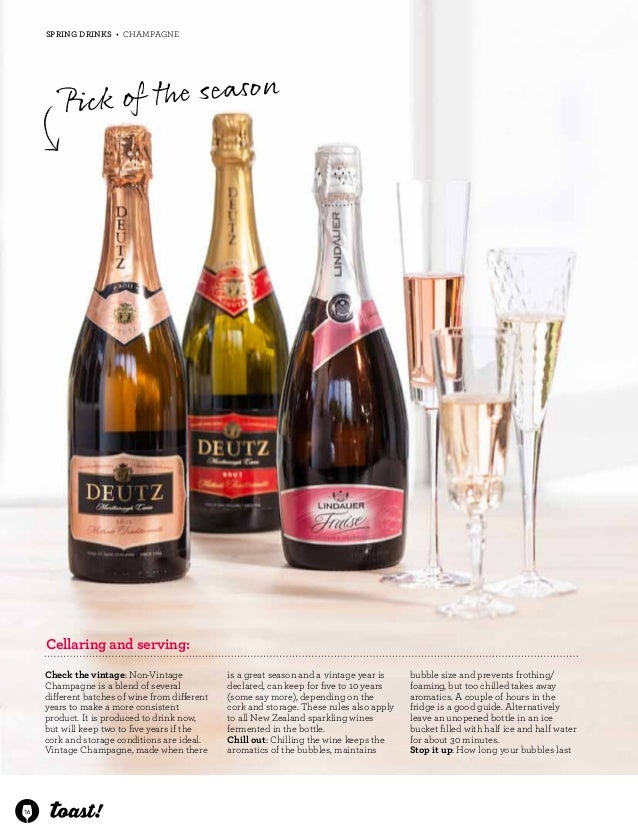 Toast Issue 4 Spring