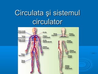 Circulata şi sistemul
     circulator
 