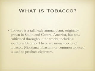 What is Tobacco?

• Tobacco is a tall, leafy annual plant, originally
  grown in South and Central America, but now
  cultivated throughout the world, including
  southern Ontario. There are many species of
  tobacco; Nicotiana tabacum (or common tobacco)
  is used to produce cigarettes.
 