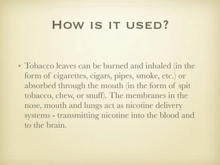 How is it used?

• Tobacco leaves can be burned and inhaled (in the
  form of cigarettes, cigars, pipes, smoke, etc.) or
  absorbed through the mouth (in the form of spit
  tobacco, chew, or snuff). The membranes in the
  nose, mouth and lungs act as nicotine delivery
  systems - transmitting nicotine into the blood and
  to the brain.
 