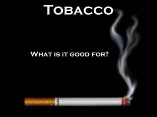 Tobacco ,[object Object]