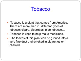 Tobacco
 Tobacco is a plant that comes from America.
There are more than 70 different types of
tobacco: cigars, cigarettes, pipe tobacco…
 Tobacco is used to help make medicines.
 The leaves of this plant can be ground into a
very fine dust and smoked in cigarettes or
chewed.
 