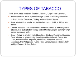 TYPES OF TABACCO
There are 4 basic varieties: "Blonde", "Black", “Cigar" and “Oriental”.
 Blonde tobacco: It has a yellow-orange colour. It is mostly cultivated
in Brazil, India, Zimbabwe, Turkey and the United States.
 Black tobacco: it is similar to the blonde tobacco, but it is thicker and
darker .
 Oriental tobacco : it is the smallest and most robust of all the types of
tobacco. It is cultivated in Turkey and in Middle East; in summer, when
temperatures are high.
 Cigar : A cigar is a tightly-rolled bundle of dried and fermented tobacco.
Cigar tobacco is grown in significant quantities in Brazil, Cameroon,
Cuba, the Dominican Republic, Honduras, Indonesia, Mexico,
Nicaragua, the Philippines, Puerto Rico, Canary Islands (Spain), Italy
and the Eastern United States.
 