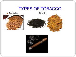 TYPES OF TOBACCO
 Blonde : Black :
Oriental :
Cigar:
 