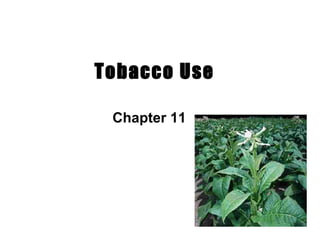 Tobacco Use
Chapter 11
 