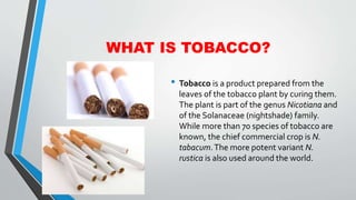 WHAT IS TOBACCO?
• Tobacco is a product prepared from the
leaves of the tobacco plant by curing them.
The plant is part of the genus Nicotiana and
of the Solanaceae (nightshade) family.
While more than 70 species of tobacco are
known, the chief commercial crop is N.
tabacum.The more potent variant N.
rustica is also used around the world.
 