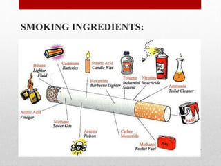 SMOKING INGREDIENTS:
 