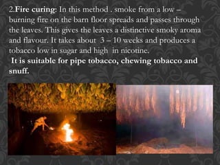 sailors tobacco Sailor Sandblasted Pot (by Stanwell) Tobacco Pipe sailors tobacco Sailor Sandblasted Pot (by Stanwell) Tobacco Pipe