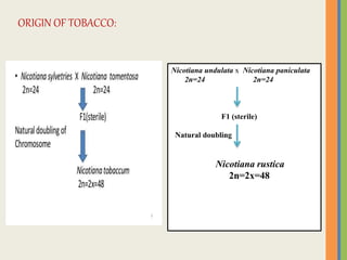 uk cheapest tobacco Duty Free Cigarette & Tobacco Price | Eastern Channel