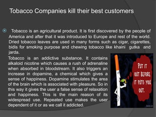 Tobacco Companies kill their best customers
 Tobacco is an agricultural product. It is first discovered by the people of
America and after that it was introduced to Europe and rest of the world.
Dried tobacco leaves are used in many forms such as cigar, cigarettes,
bidis for smoking purpose and chewing tobacco like khaini gutka and
jarda.
Tobacco is an addictive substance. It contains
alkaloid nicotine which causes a rush of adrenaline
when absorbed in bloodstream. It also triggers an
increase in dopamine, a chemical which gives a
sense of happiness. Dopamine stimulates the area
of the brain which is associated with pleasure. So in
this way it gives the user a false sense of relaxation
and happiness. This is the main reason of its
widespread use. Repeated use makes the user
dependent of it or as we call it addicted.
 