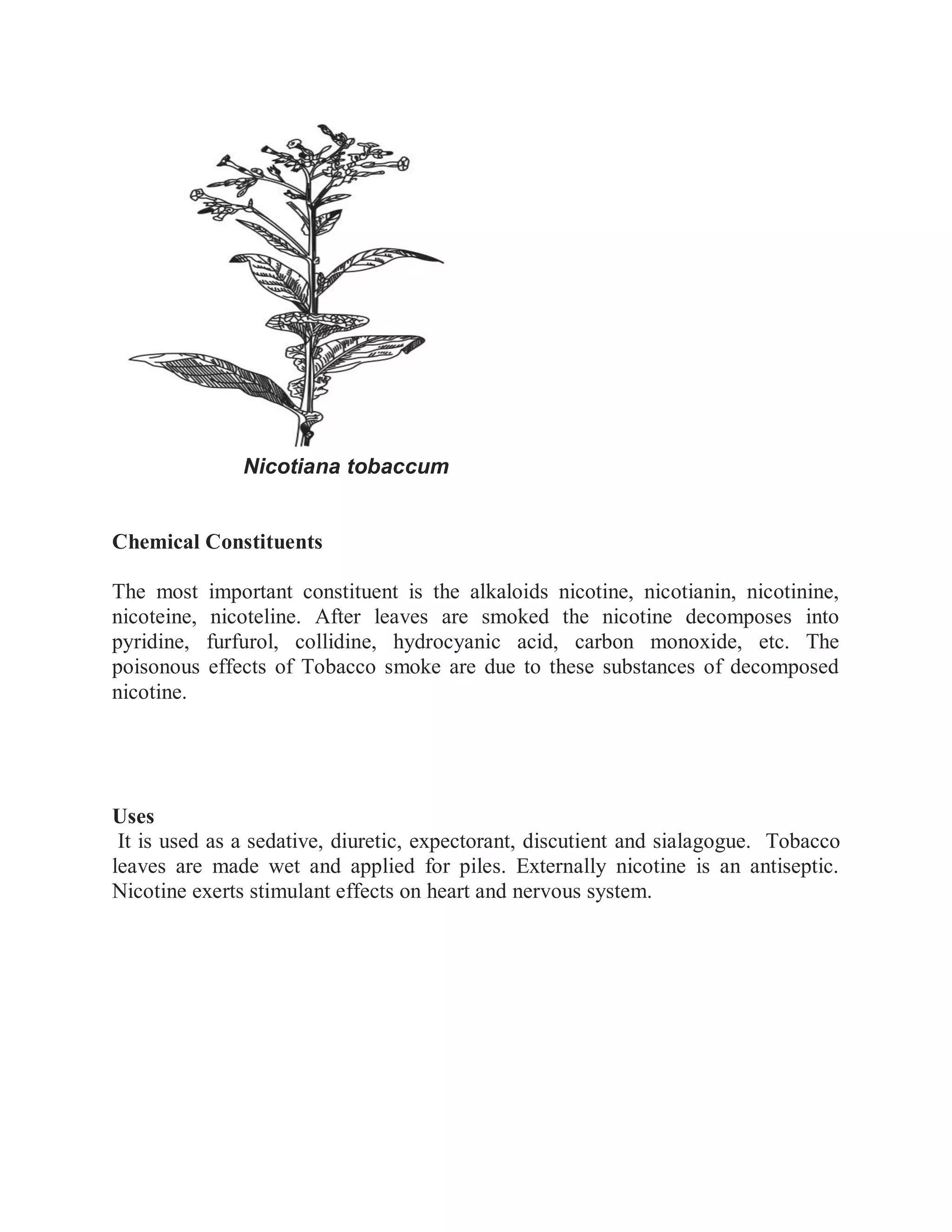mexican tobacco cologne Ibraheem Al Qurashi Mexican Tobacco Extrait De Parfum For Unisex   FridayCharm.com