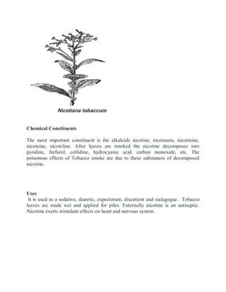 synonyms of tobacco Tobacco