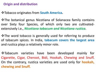 tobacco word origin Tobacco