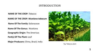 national youth tobacco survey 2020 A Year of Progress, But Youth…