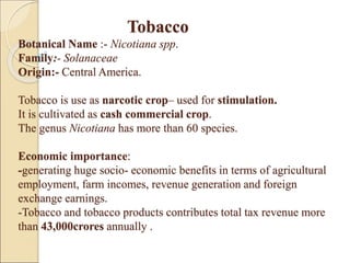 Tobacco.ppt Details cultivation practices of Tobacco