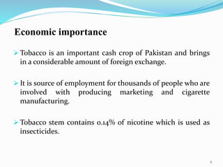 how important is tobacco to the economy Tobacco Production Technology