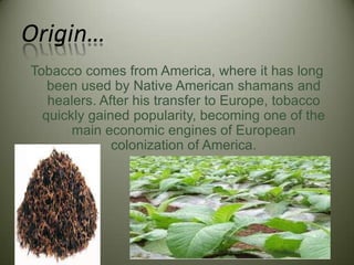 where does tobacco originate from Tobacco origin, meaning and distribution