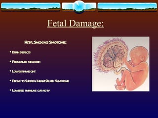 Fetal Damage:   Fetal Smoking Syndrome: Birth defects Premature stillbirth Low birthweight Prone to Sudden Infant Death Syndrome Lowered immune capacity 