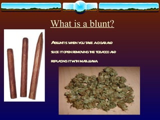 What is a blunt? A blunt is when you take a cigar and slice it open removing the tobacco and replacing it with marijuana. 