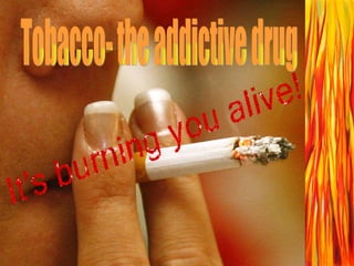 Tobacco- the addictive drug     
