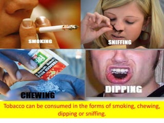 Tobacco can be consumed in the forms of smoking, chewing,
dipping or sniffing.
 