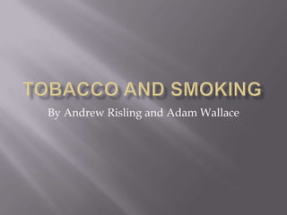 Tobacco and Smoking  By Andrew Risling and Adam Wallace  