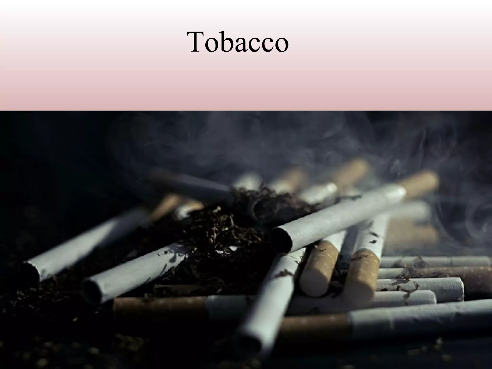 tobacco options Blog  Tobacco Stock