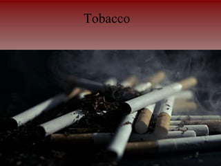 Tobacco
 