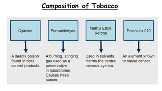 Composition of Tobacco
 