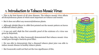 facts about tobacco mosaic virus Tobacco mosaic virus